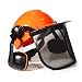 MESTUDIO Industrial Forestry Safety Helmet With Hearing Protection System And Protective Visors, Comfortable Lining And Wire Mesh Mask Heavy Duty Hard Hat primary