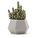 T4U Ceramic Succulent Planter Pots with Drainage Hole Set of 4, Matt Hexagonal Porcelain Handicraft as Gift for Mom Sister Aunt Best for Home Office Restaurant Table Desk Window Sill Decoration