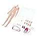 Flameer 1/6 Scale Seamless Female Figure Body Steel Skeleton for Phicen 27cm Height Normal Skin