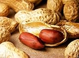 10 Champ Peanut Seeds (Shell) Early Maturing