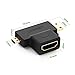 UGREEN 2Pack 2 in 1 Mini HDMI and Micro HDMI Male to HDMI Female Adapter Supports 1080P Compatible with GoPro Hero 7 Black Hero 5 4 6, Nexus 10 Tablet, Camera, Camcorder, DSLR, Video Card ect