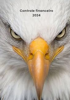 Livro planner financeiro 2024