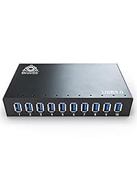 Powered USB 3.0 Hub 10 puertos A 103