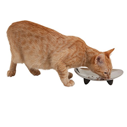 Petmate Jackson Galaxy Nova Stainless Steel Cat Bowl Pricepulse
