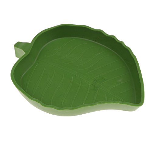 image for D DOLITY 4Pcs Shallow Reptile Amphibians Food Water Dish Corner Bowl f