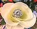 Max 24 Bouquet Pins Corsage Wedding FLORAL ROUND Design Crystal Rhinestone Diamond 3 inches
