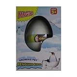 Hatching Penguin Egg Growing Pet