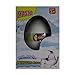 Hatching Penguin Egg Growing Pet