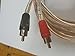 16 AWG Speaker Wire Pair with RCA Male (Black & Red) on one end to to 2 Pair Banana Plugs on The Other end 6'
