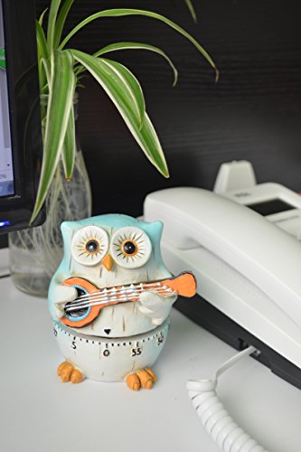 GIFTME 5 Owl Cartoon Kitchen Timer Cooking Timer Cute Timer Reminder(Bluish green) - Thumbnail 7