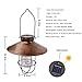 Outdoor Hanging Solar Lantern Light Solar Lamp with Warm White fliament Bulbs for Garden Yard Pathway (Copper)
