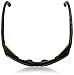 Julbo Explorer Glacier Glasses