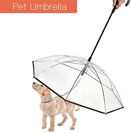 small dog umbrella