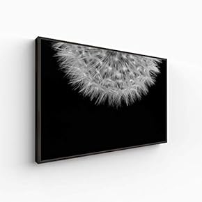 Canvas Wall Art for Living Room, Bedroom Monochrome Plants Framed Canvas Prints for Home Decoration Ready to Hang - 16x24 inches
