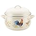 Paula Deen Enamel on Steel Stock Pot/Stockpot with Lid, 8 Quart, Garden Rooster