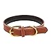 Aolove Basic Classic Padded Leather Pet Collars for Cats Puppy Small Medium Dogs (Brown, Medium)