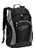 Speedo Sonic Backpack, Black/Darkgull Grey, 25-Liter