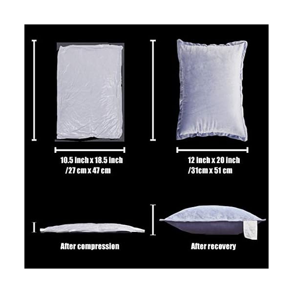 EDOW Velvet Throw Pillows (Set of 2), Soft Fluffy Down Alternative