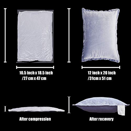 EDOW Velvet Throw Pillows (Set of 2), Soft Fluffy Down Alternative