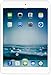 Apple iPad Mini 2 with Retina Display(32GB,WiFi Silver) (Renewed)