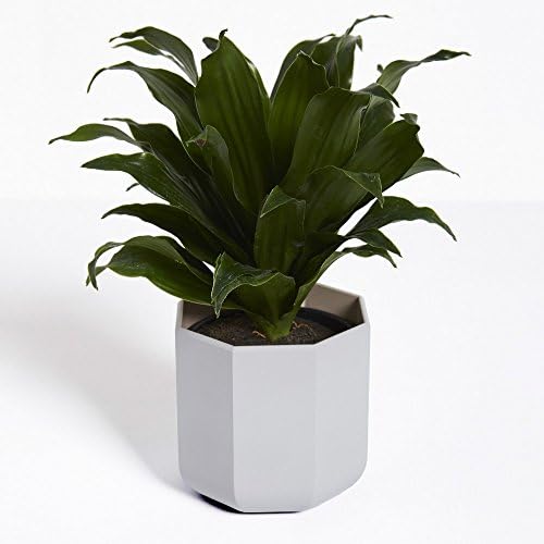 Firenze plant container (Planter, Pot) (Light gray)