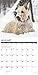 Just Scotties 2019 Wall Calendar (Dog Breed Calendar)