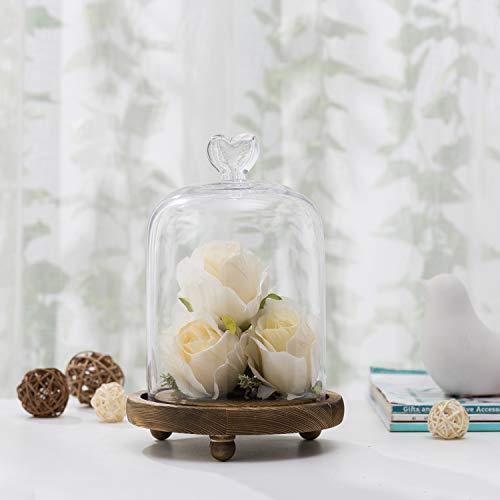 MyGift Decorative Clear Glass Cloche Dome Display Centerpiece with
