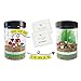 Terrarium Kit for Kids - Girls or Boys Science Kits - Stem Toys With Light Up Night Lights - DIY Craft Educational Garden Discovery Toy For Age 4 5 6 7 8 9