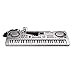 aPerfectLife Piano for Kids, Multi-Function 61 Keys Electronic Organ Kids Piano Musical Teaching Keyboard Toy for Kids Children (Silver)