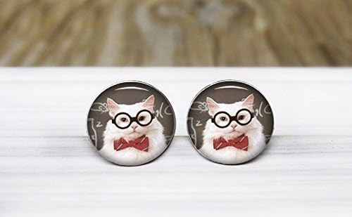 Cat Meme Post Earrings,Silver Stud Earrings,Surgical Steel Hypoallergenic Earrings,