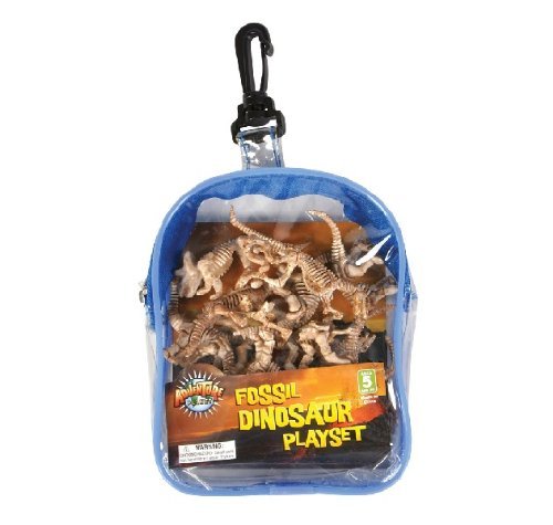 RINCO Dinosaur Fossil Set
