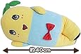 ふなっしー 添い寝抱き枕(全長：約40cm) (千葉県船橋市 非公認ご当地キャラクター)