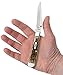 Case Amber Bone CV Trapperlock Pocket Knife with Clip