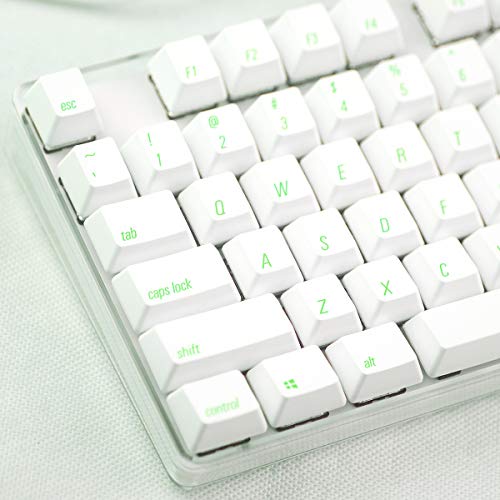 Qisan Mechanical Gaming Keyboard Crystal Case GATERON Blue Switch 100% Full Size 108 Keys PBT Dye-subbed Keycaps Green Font with White Backlight Magicforce