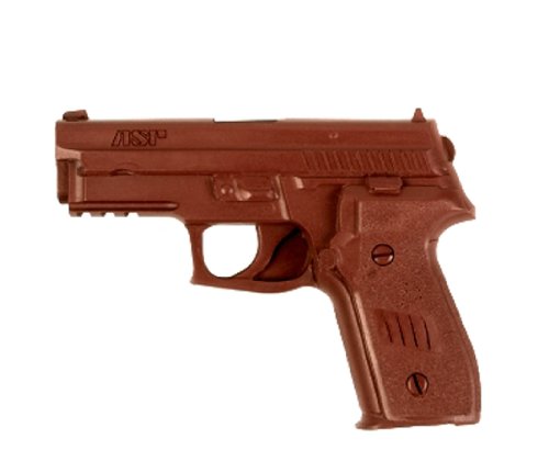 ASP SIG 228R/229R DAK 9mm/.40 Red Gun Training Series