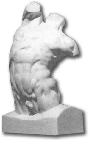 Masters International Plaster Cast Human Male Torso Model