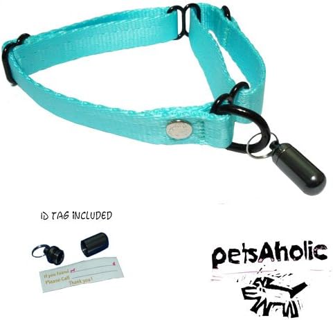extra large martingale dog collars