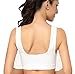 Vermilion Bird Women's 3 Pack Seamless Comfortable Sports Bra with Removable Pads XXL/Shirt Size 16,18 Black &White &Nude