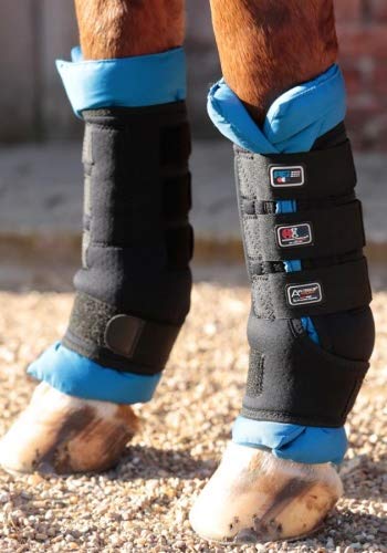 Top 7 Magnetic Boots for Horses 