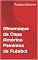 Livro Almanaque da Copa América Feminina de Futebol