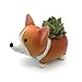 MAGGIFT Animal Shaped Succulent Plant Pot /Cactus Plant Pot/Desktop Flower Pot/Mini Bonsai pot (Style A)