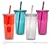 Aladdin 4 Pack Insulated Cold to Go Tumbler 20oz Includes Switx Straw Cleaner - Set 1