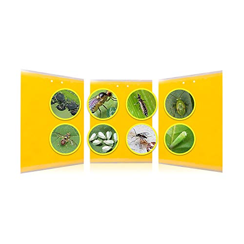 4 Gideal+Dual+Sided+Yellow+Whiteflies+Leafminers