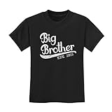 Big Brother 2016 - Gift for Boys T-Rex Kids T-Shirt With Big Brother Stickers