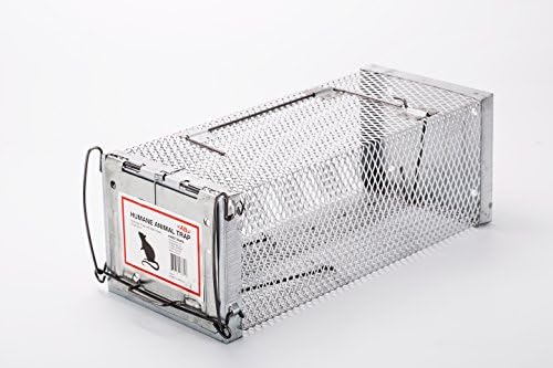 AB Traps Pro-Quality Live Animal Humane Trap Catch and Release Rats Mouse Mice Rodents Squirrels and Similar Sized Pests - Safe and Effective - 11.6" x 5" x 4.5" Single Door Bait Hook