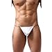 Zmart Men's 5-Pack Sexy Underwear G-string Thong T-back DZ01-XL,5 Pairs,Label XL= US L