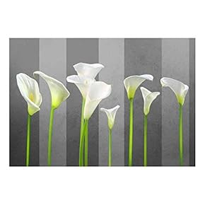 Arum Lilies with Gray Striped Textured Background - Wall Mural, Removable Sticker, Home Decor - 66x96 inches