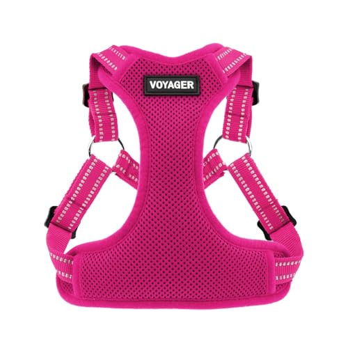 Voyager Adjustable Dog Harness with Reflective Stripes by Best Pet Supplies, Heavy-Duty Full Body No Pull Vest with Leash D-Ring, Breathable, Fuchsia, size XL