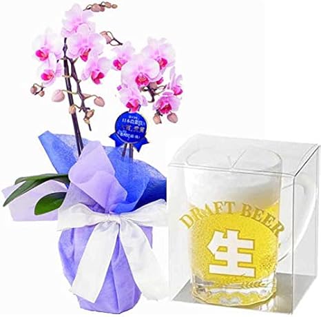 Amazon ミディ胡蝶蘭 お供え 花 キャンドルセット 2本立 ランラン ピンク色 カメヤマ ミニジョッキ ドラフト ビール ローソク ギフト 仏前ろうそく オンライン通販