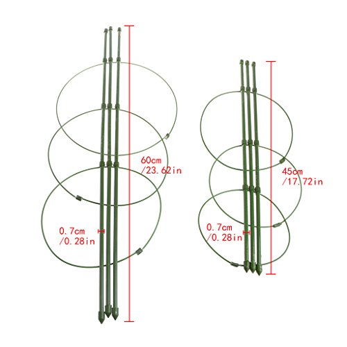 xiaoyao24 Rankhilfe für Kletterpflanzen, 45 cm / 60 cm, konisches Rankgitter 45 – Bild 4